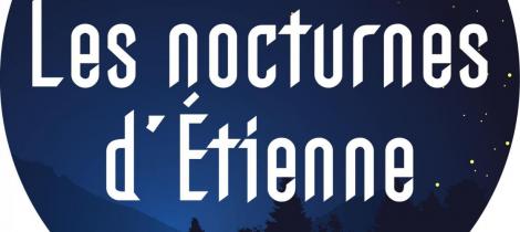 Aperçu de Les Nocturnes d'Étienne, entre scène et marché de terroir
